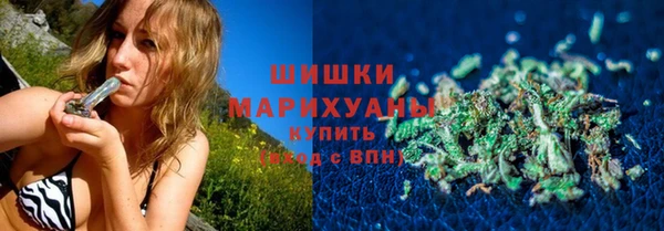 трава Арсеньев