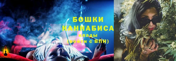 трава Арсеньев