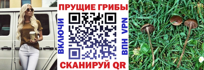 Галлюциногенные грибы ЛСД  Лиски 